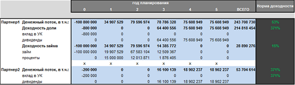 Финансовая модель компании: разработка и внедрение
